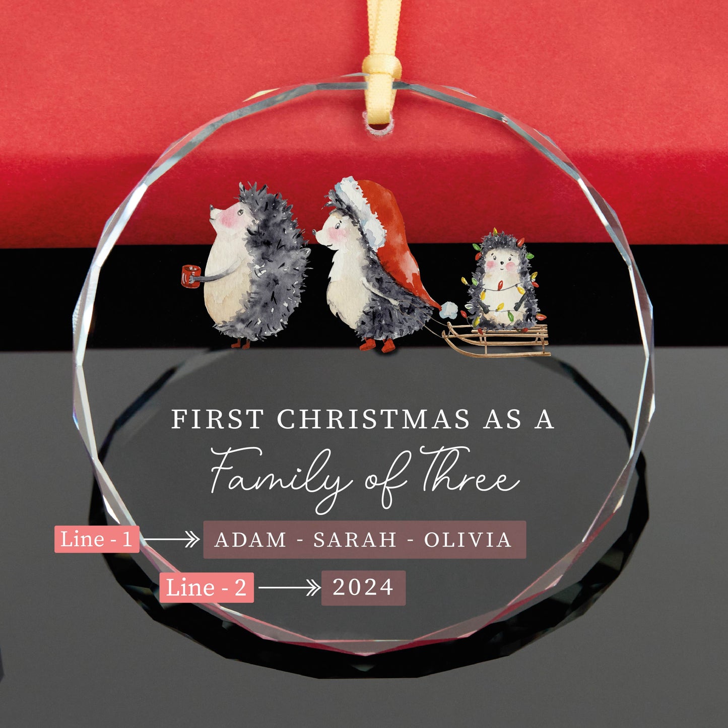 Personalized Porcupine Family Christmas Ornament