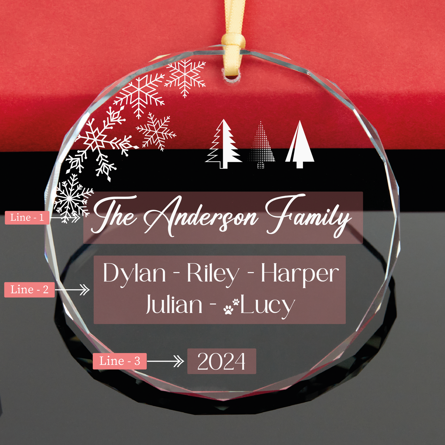 Personalized 2024 Family Christmas Ornament with Pet Names • Custom Christmas Tree Ornament