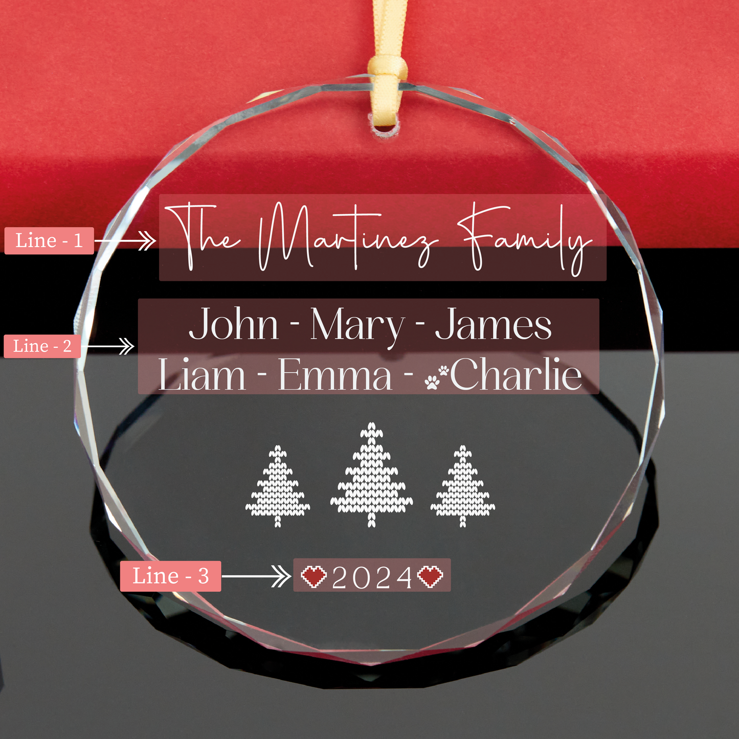 Personalized 2024 Family Christmas Ornament with Pet Names