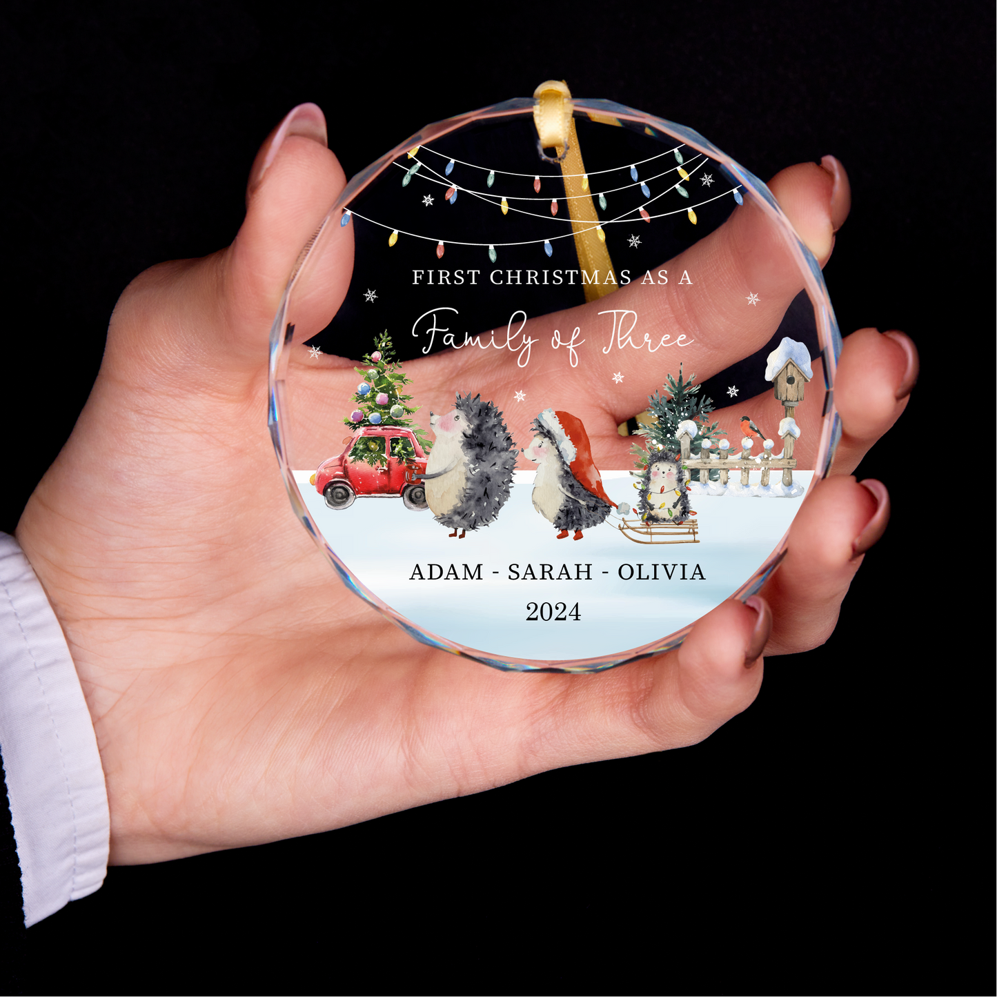 Personalized Family Christmas Ornament