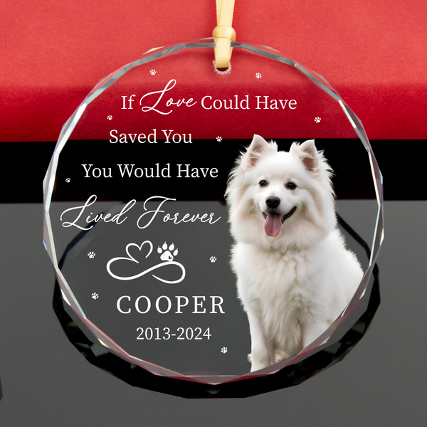Love Could Have Saved You Pet Memorial Ornament