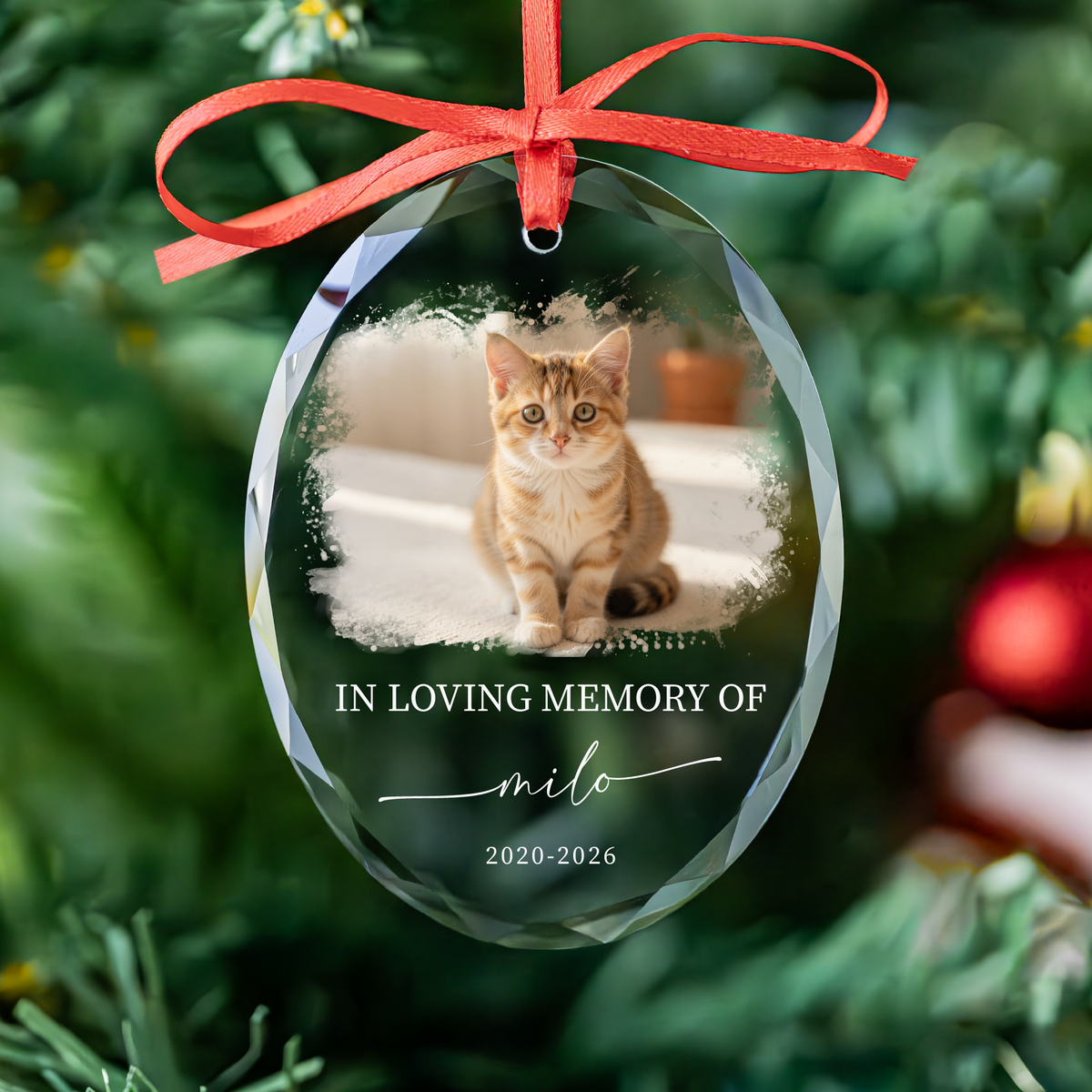 Watercolor Edge Pet Photo Memorial Ornament