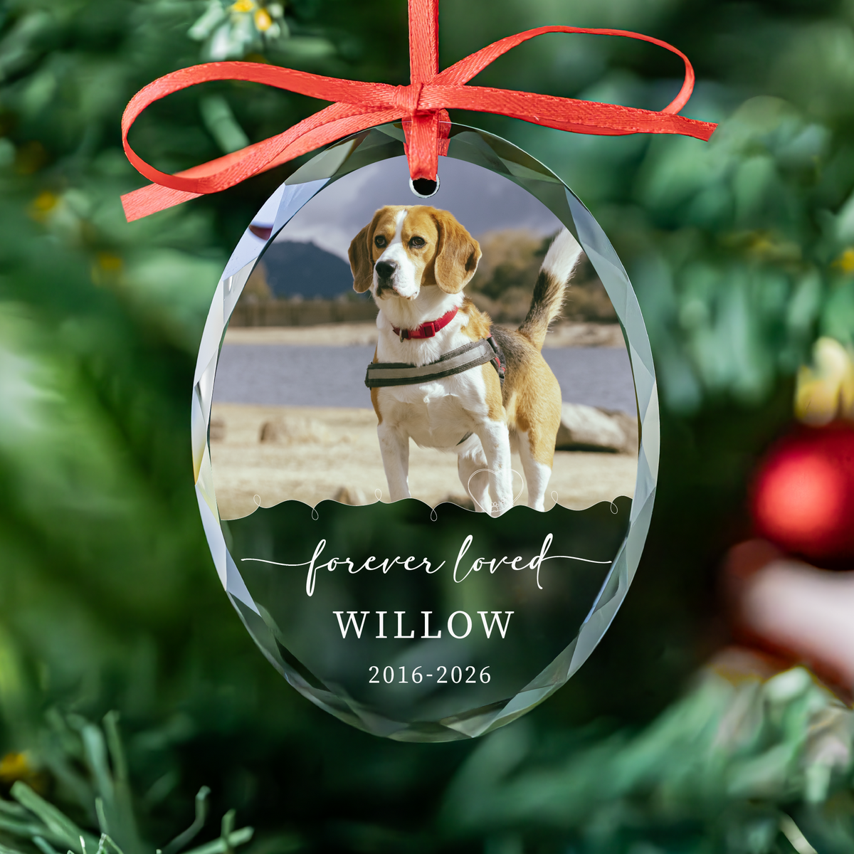 Owner & Pet Photo Memorial Ornament