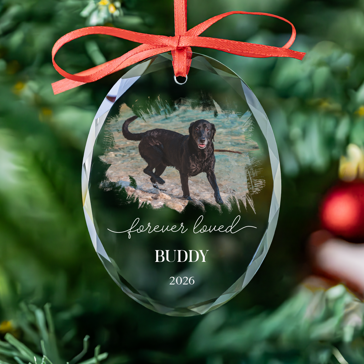 Heart Photo Pet Memorial Ornament