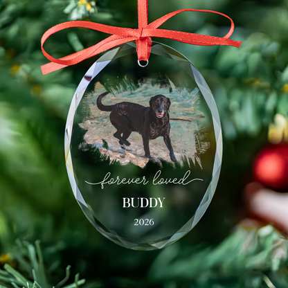 Heart Photo Pet Memorial Ornament
