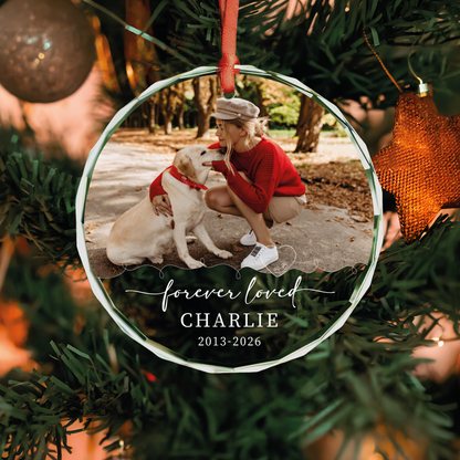 Owner & Pet Photo Memorial Ornament