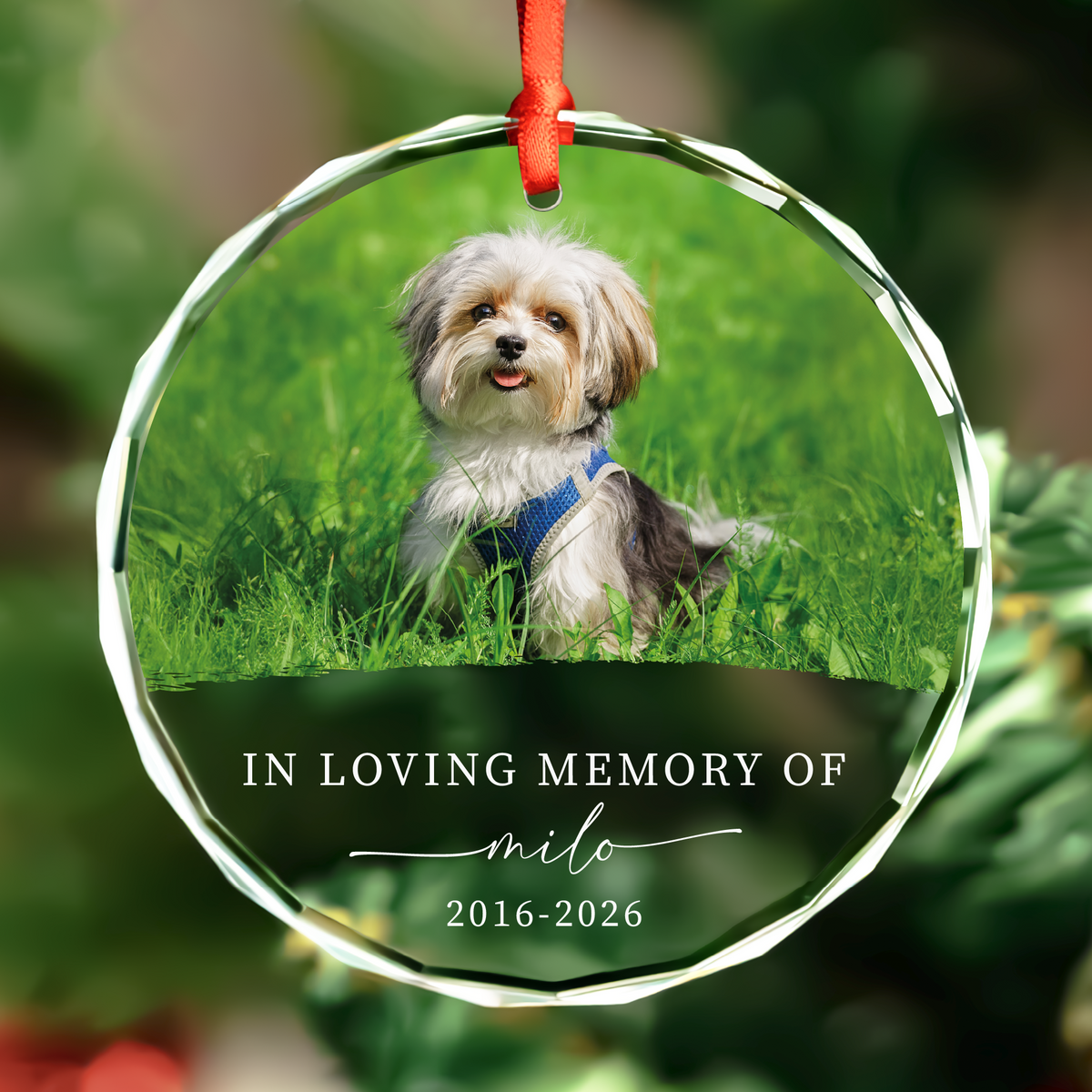 Classic Pet Photo Memorial Ornament