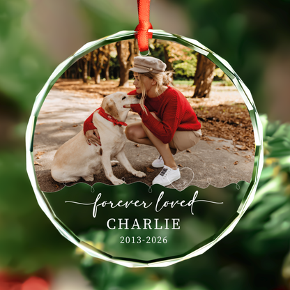 Personalized dog memorial glass Christmas ornament