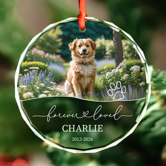 Personalized dog photo memorial glass Christmas ornament