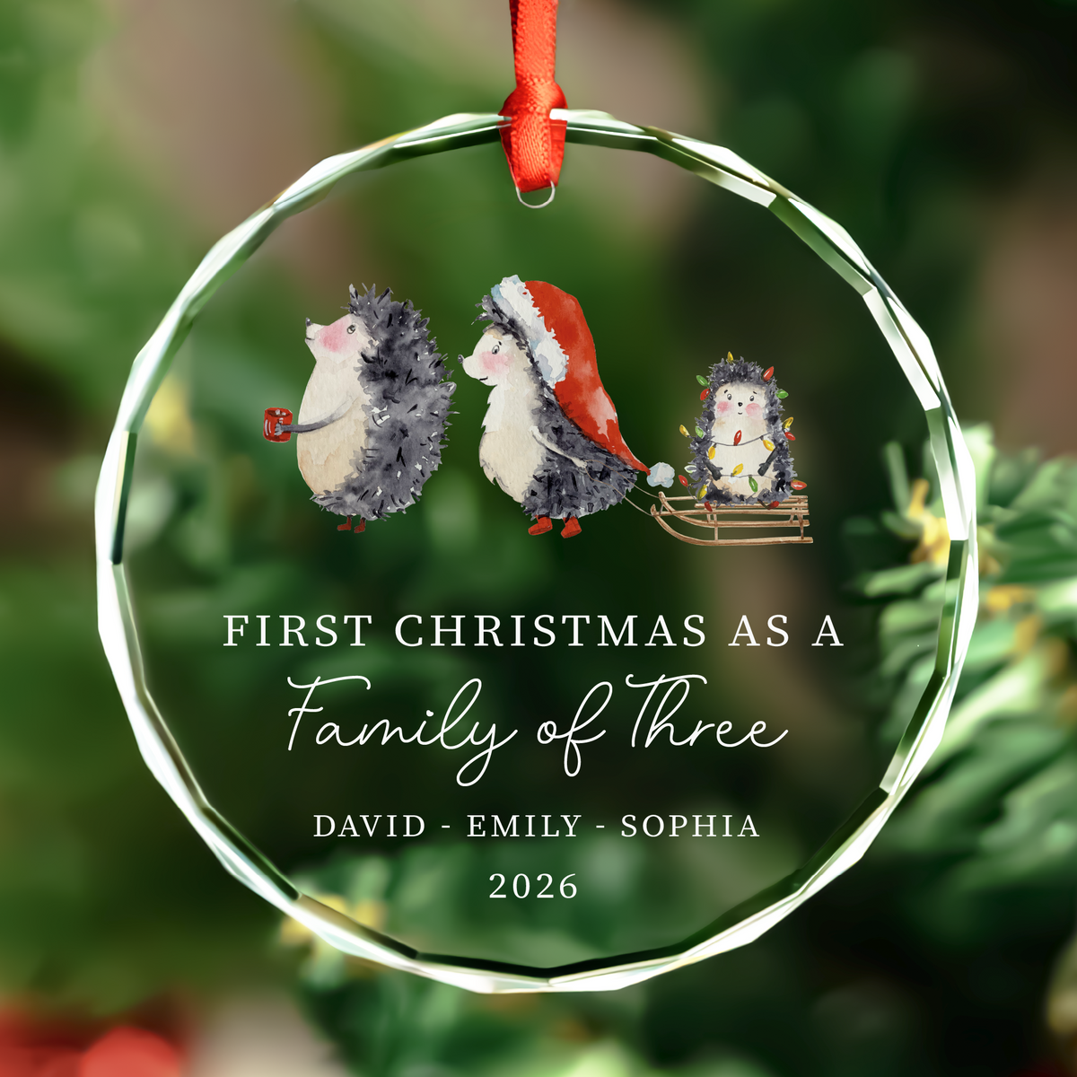 First Christmas Family of Three Ornament