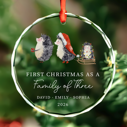 First Christmas Family of Three Ornament