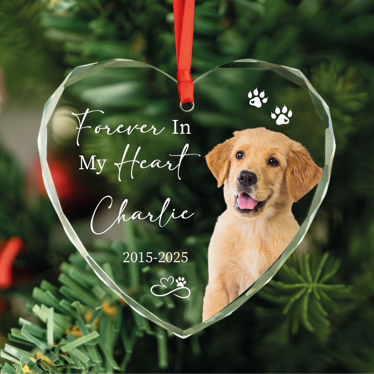Forever in my heart dog photo ornament in round, heart and oval glass shapes