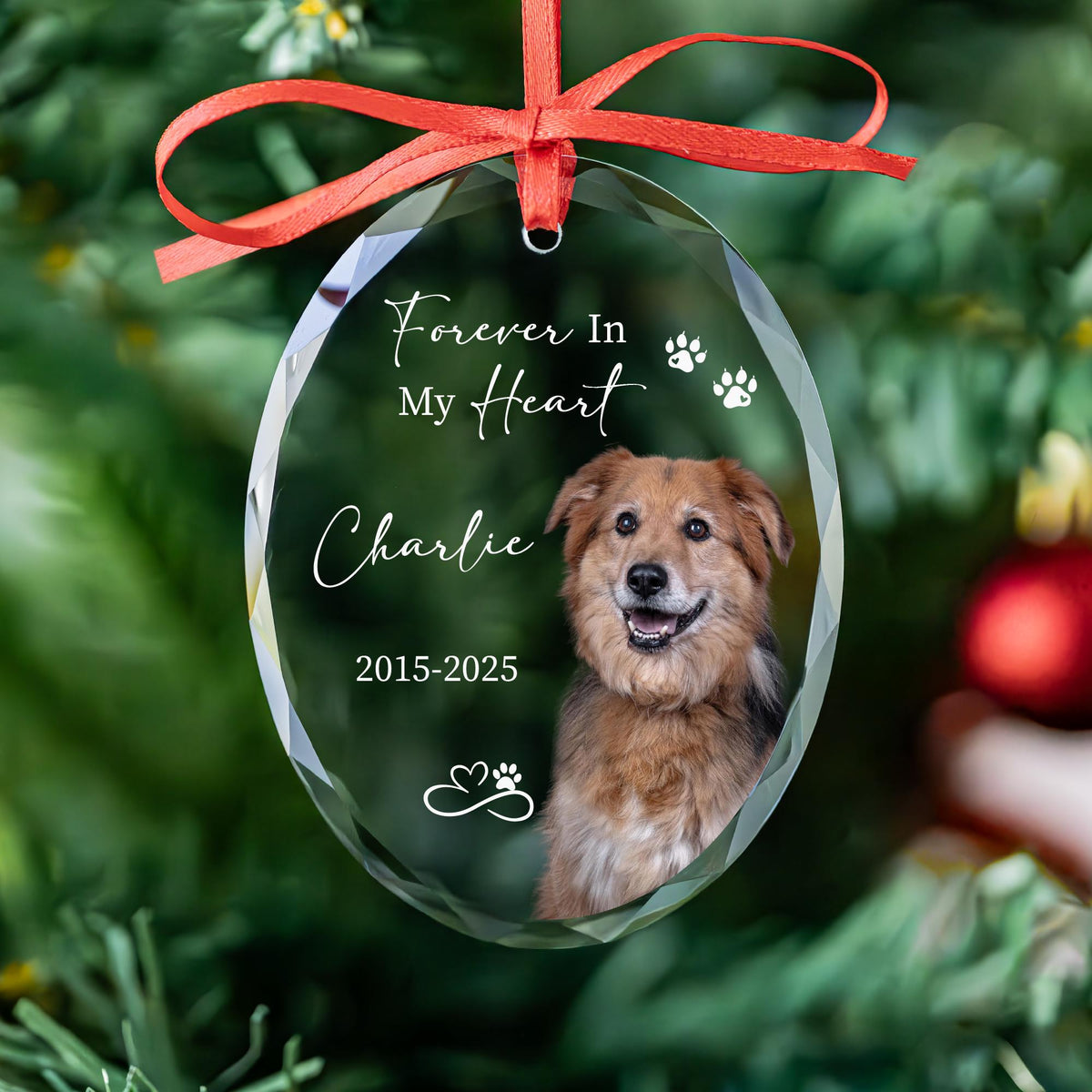 Personalized forever in my heart dog memorial oval glass ornament with photo, paw prints, name and years