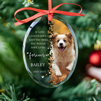 Dog memorial photo ornament in round, heart and oval glass shapes