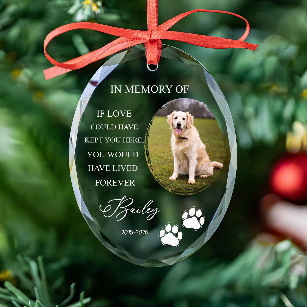 In memory of dog photo ornament in round, heart and oval glass shapes