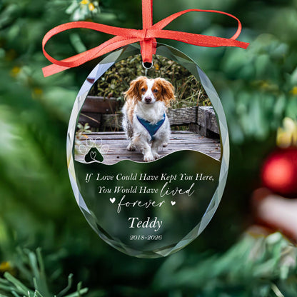 Dog memorial ornament with paw heart in round and oval glass shapes