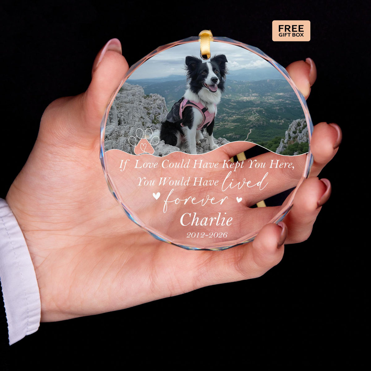 Dog remembrance glass Christmas ornament with photo