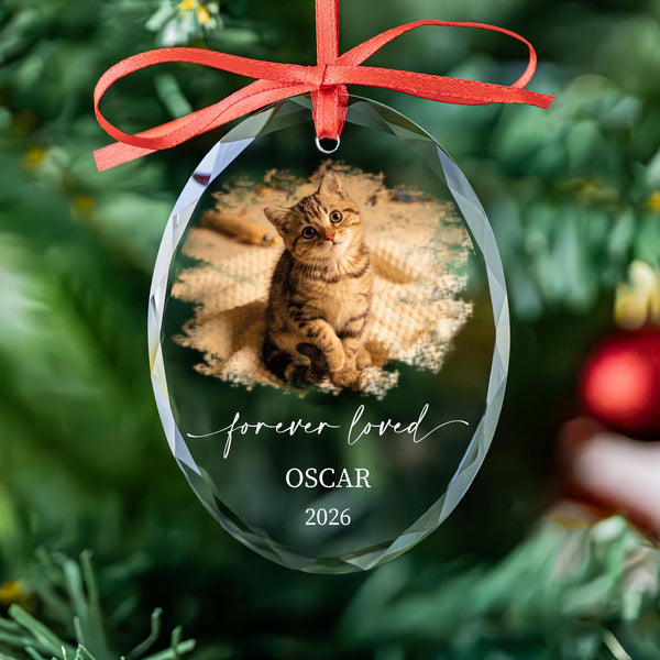 Forever Loved Cat Memorial Photo Ornament with Name and Year, Personalized Glass Pet Loss Keepsake