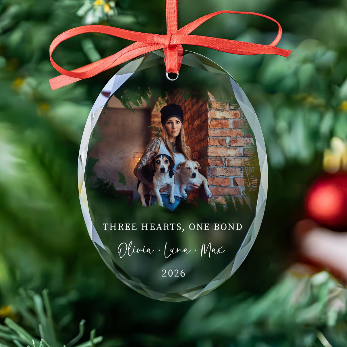 Cat and dog pet photo keepsake ornament
