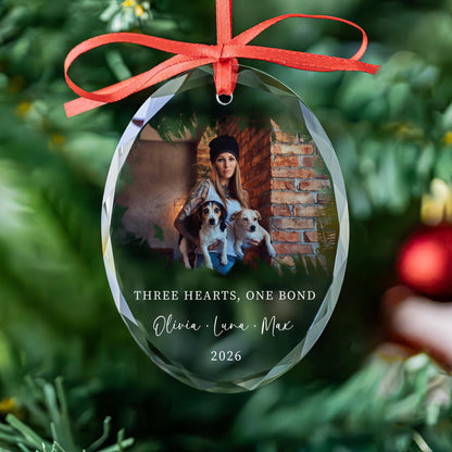 Cat and dog pet photo keepsake ornament