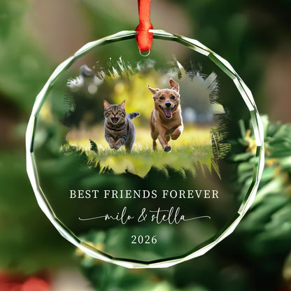 Pet lover gift glass ornament for cat and dog families