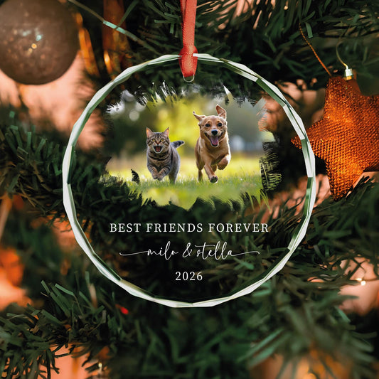 Personalized cat and dog best friends forever glass ornament with pet photo