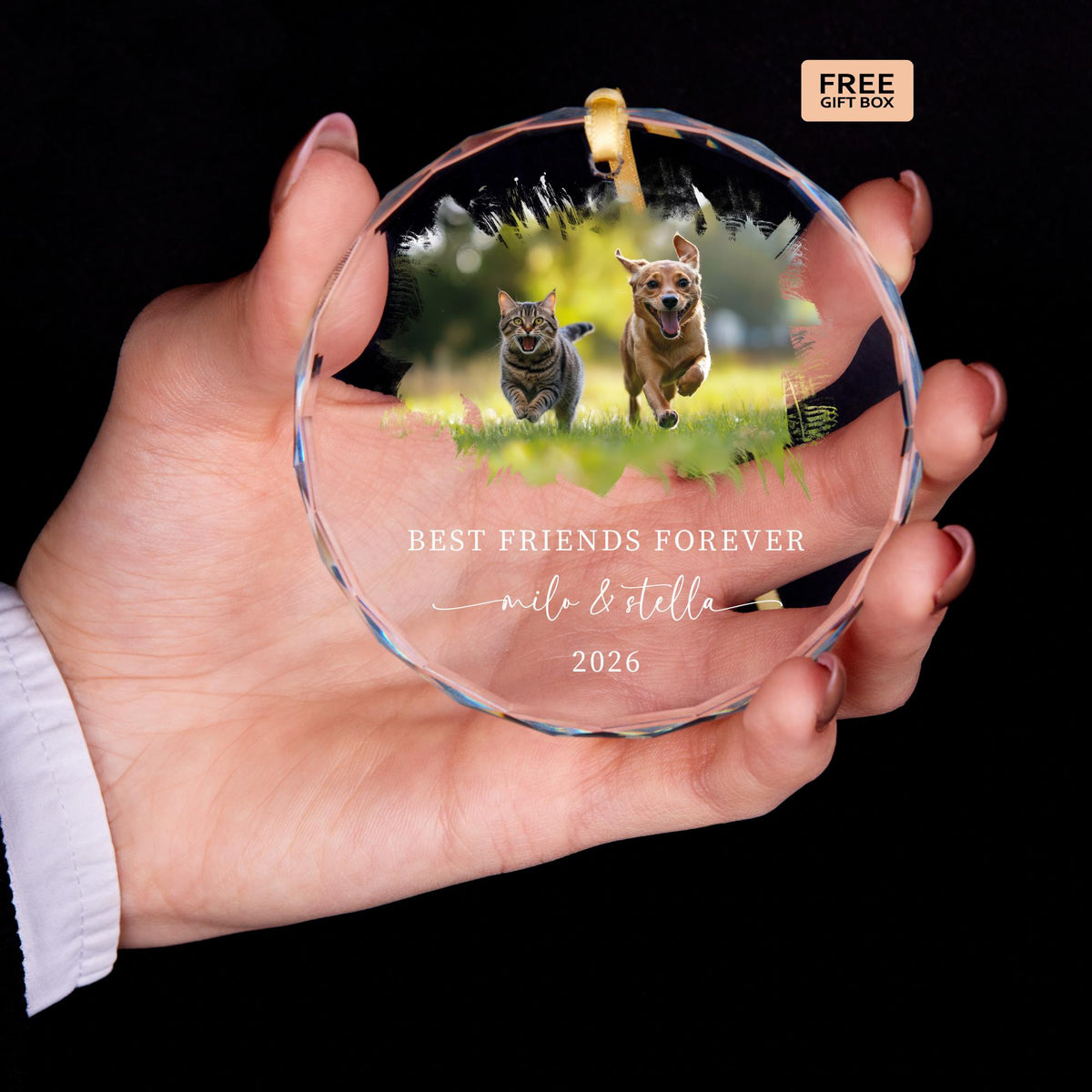 Furry siblings pet photo Christmas ornament